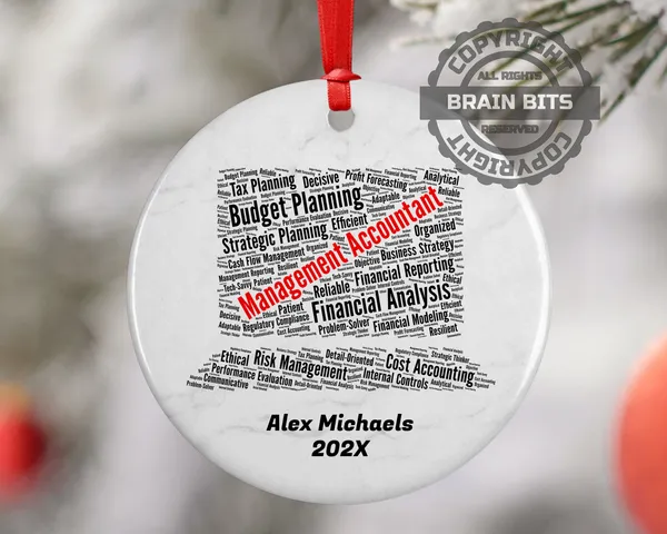 Management Accountant Personalized Christmas Ornament